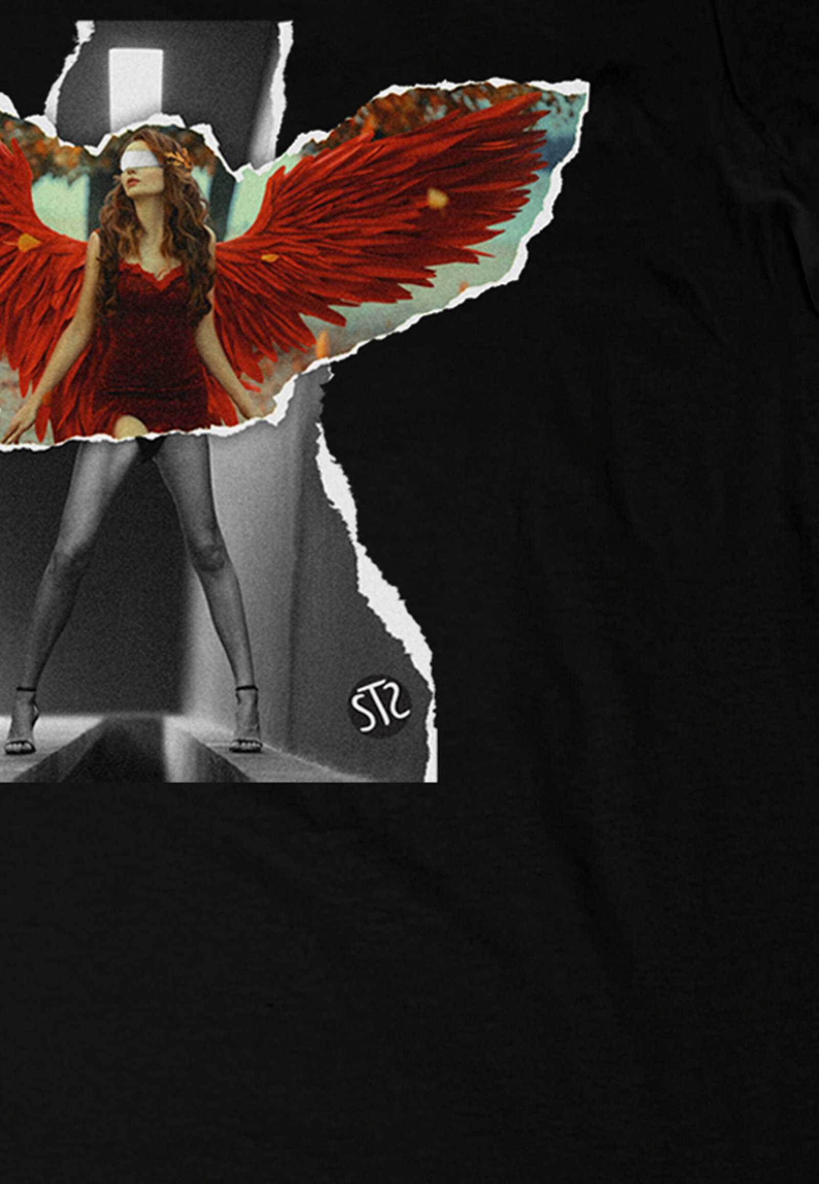 Seetees Wings T-shirt uomo cotone foto