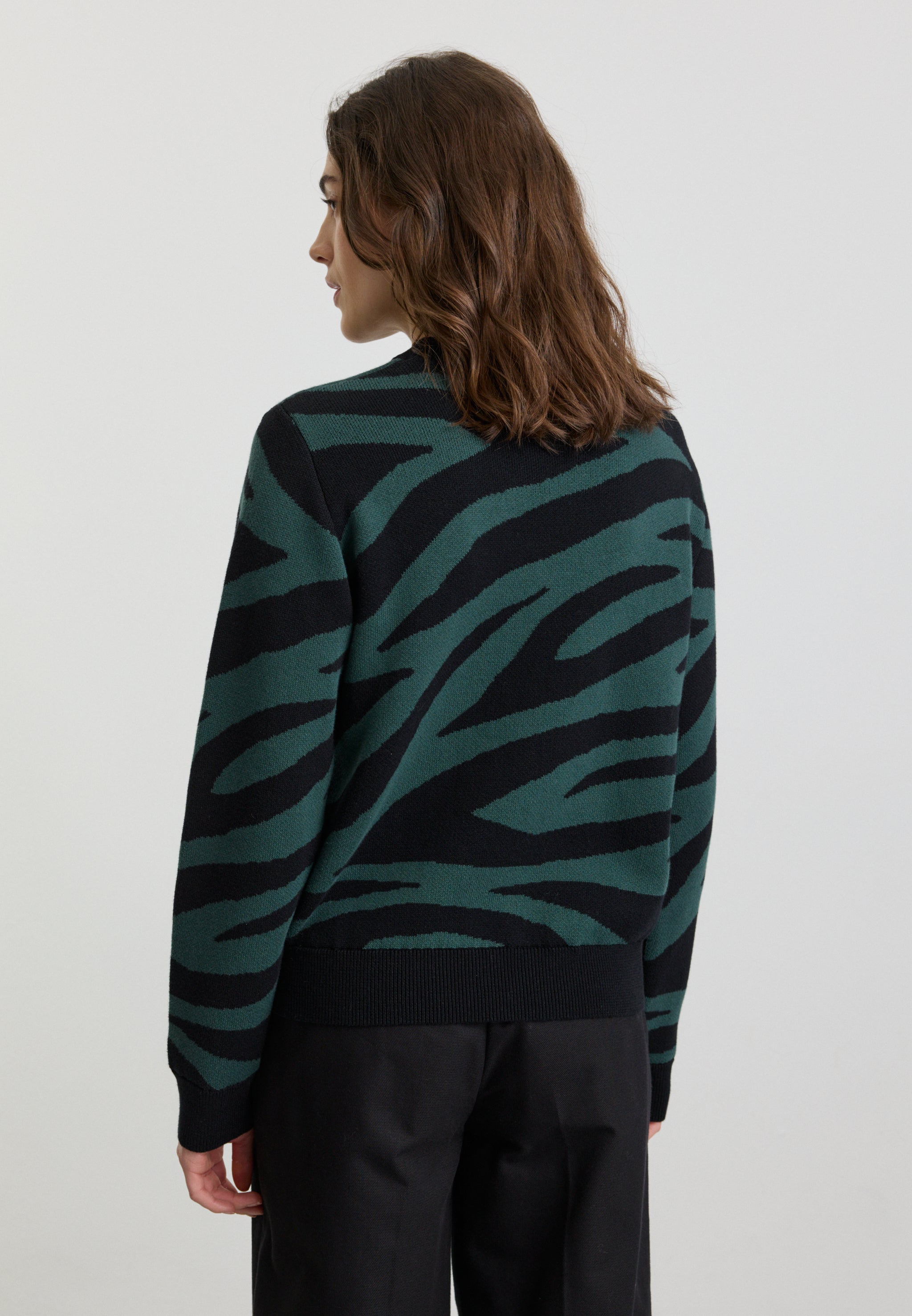 Recolution Pistia Zebra maglione verde scuro cotone bio