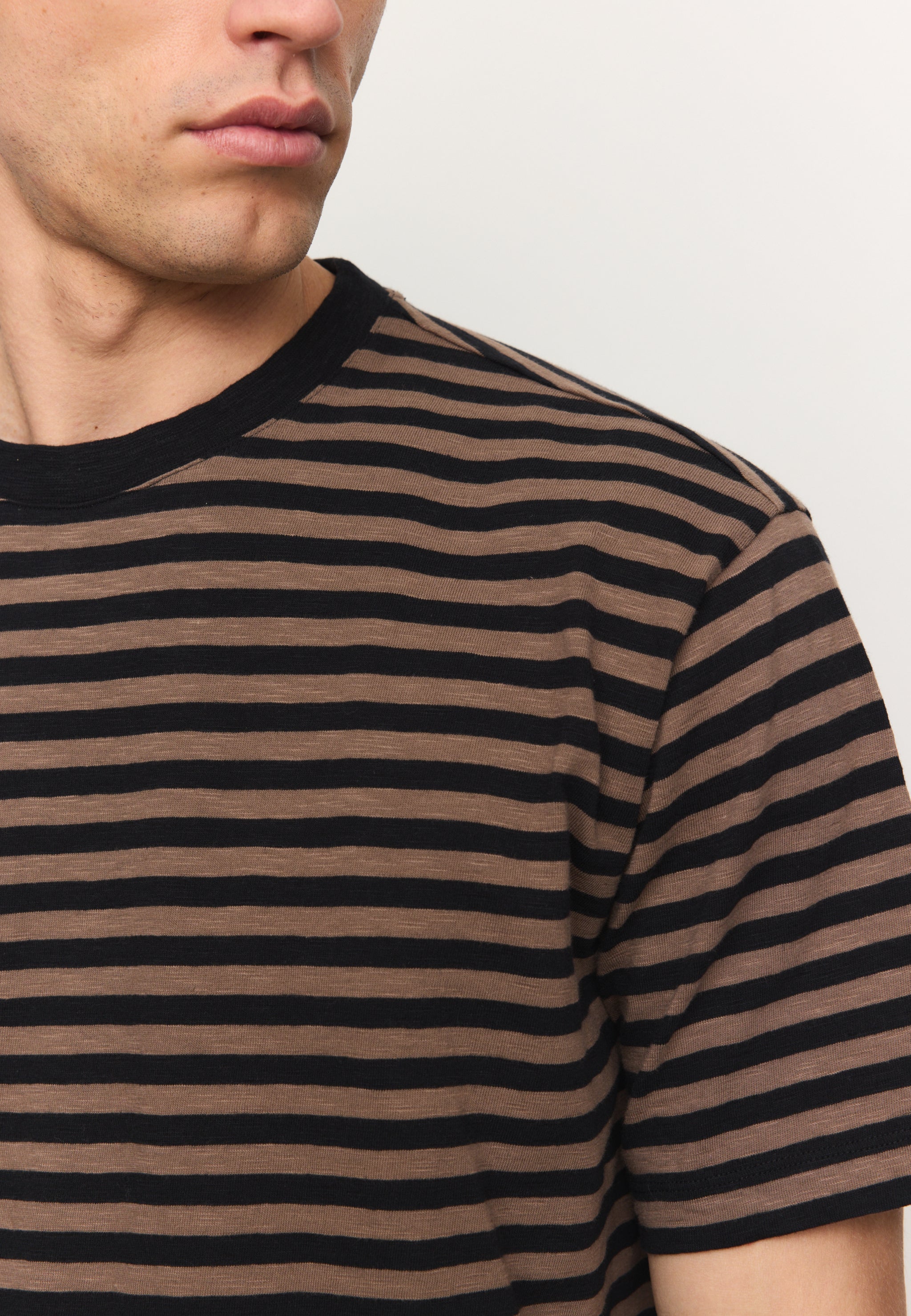 Recolution Delonix Stripes t-shirt marrone cotone bio