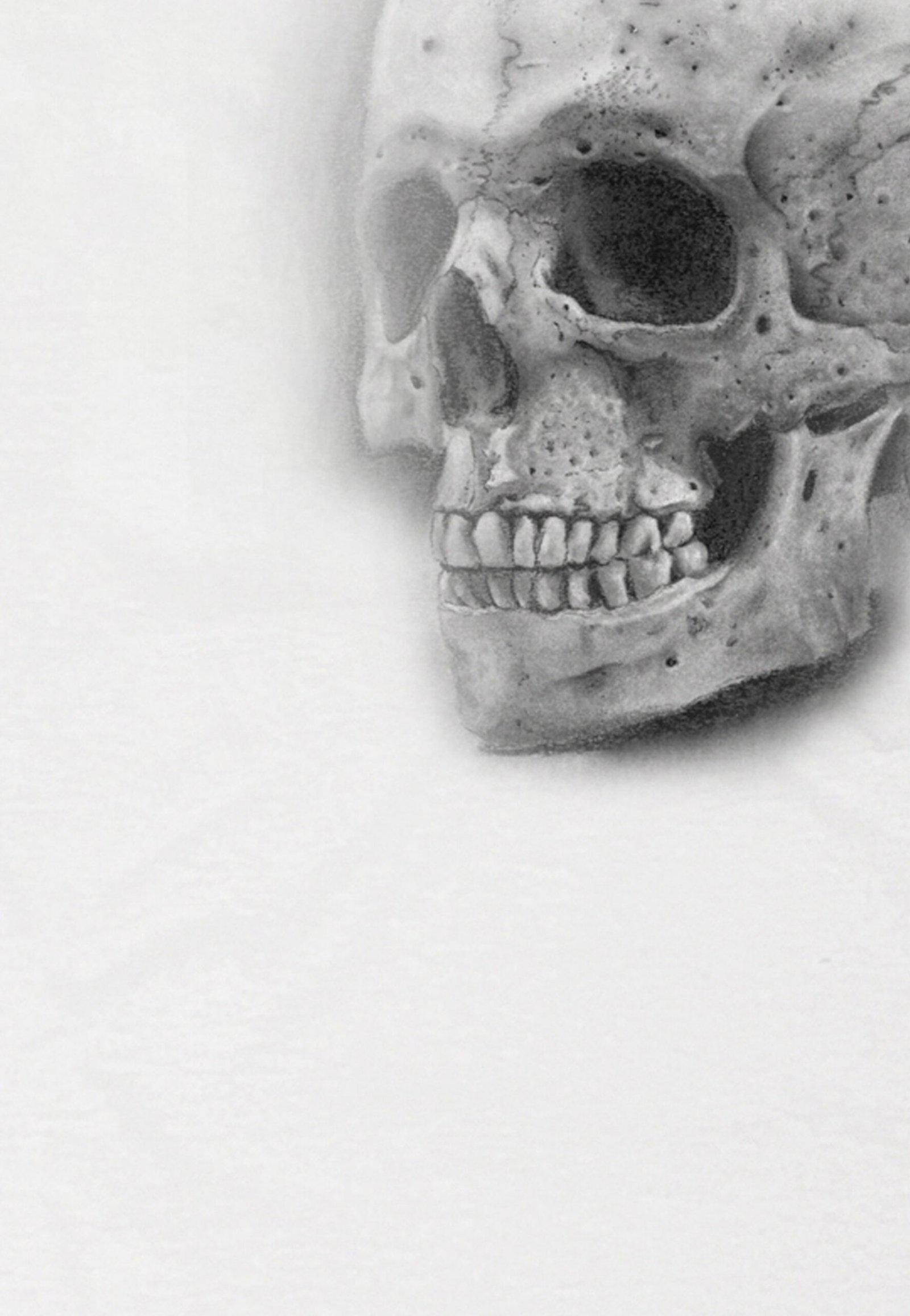 Seetees Grey Skull t-shirt manica corta