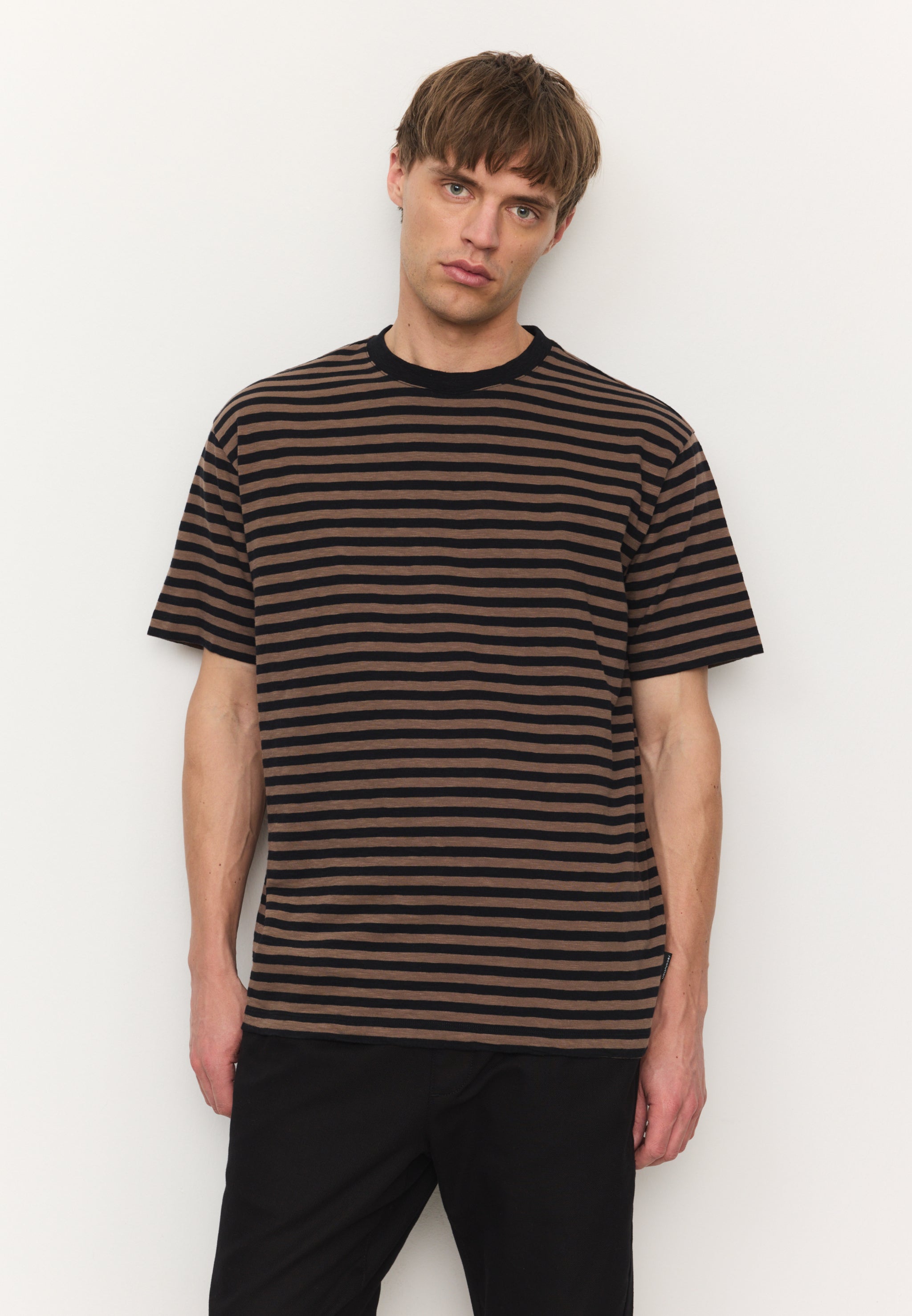 Recolution Delonix Stripes t-shirt marrone cotone bio