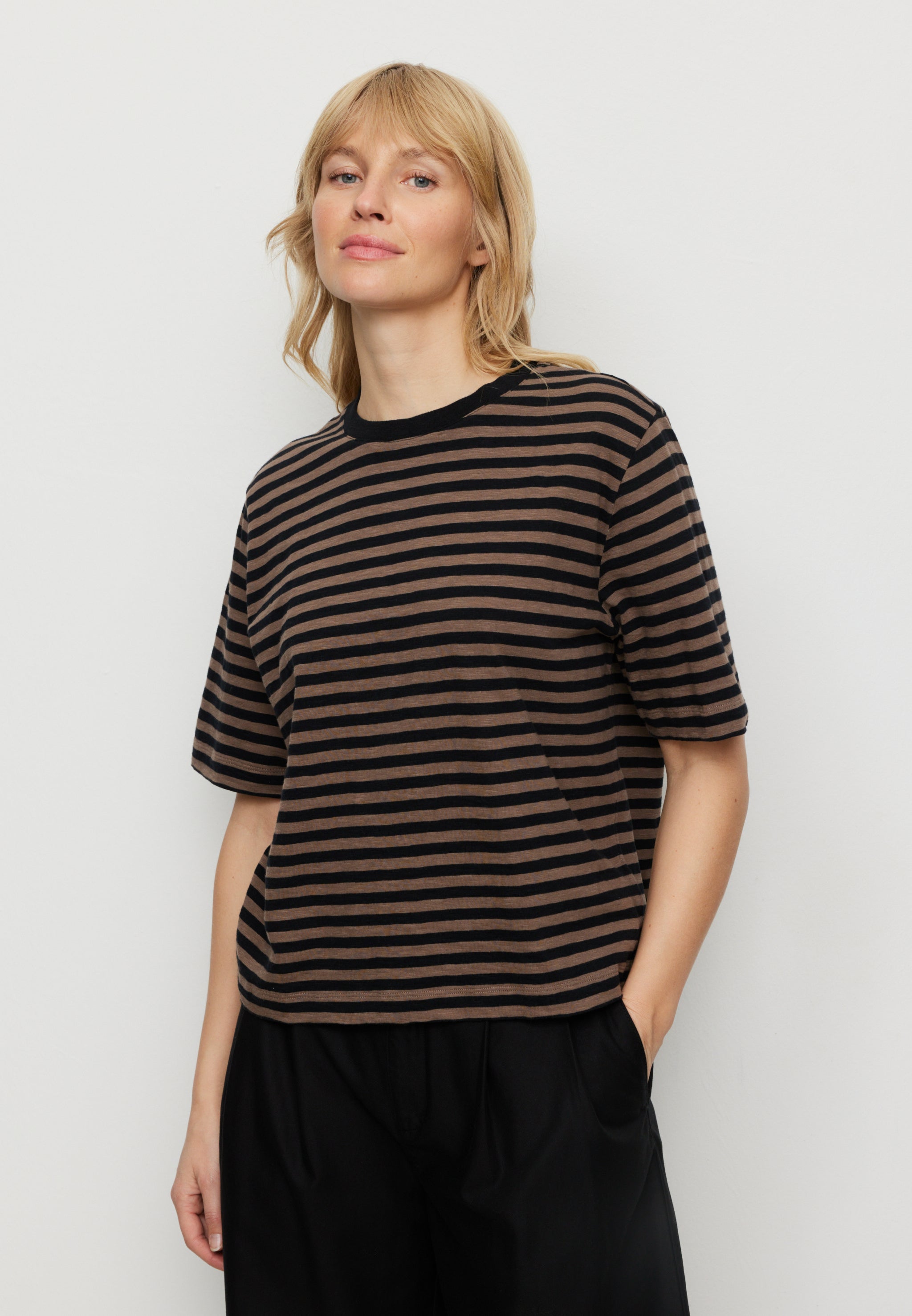 Recolution Azolla Stripes maglietta marrone vintage cotone bio