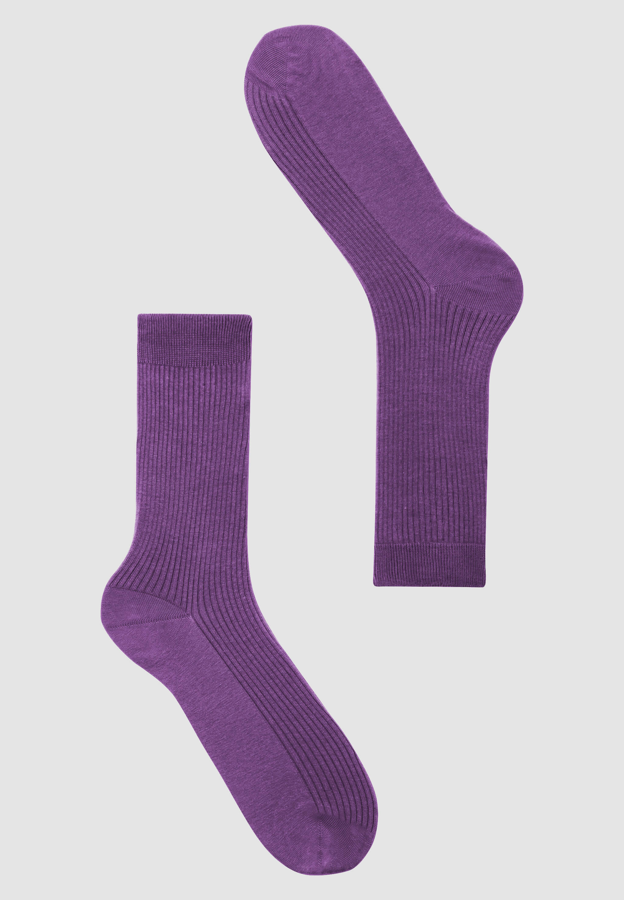 Recolution HERB calzini lilla cotone bio costa fine