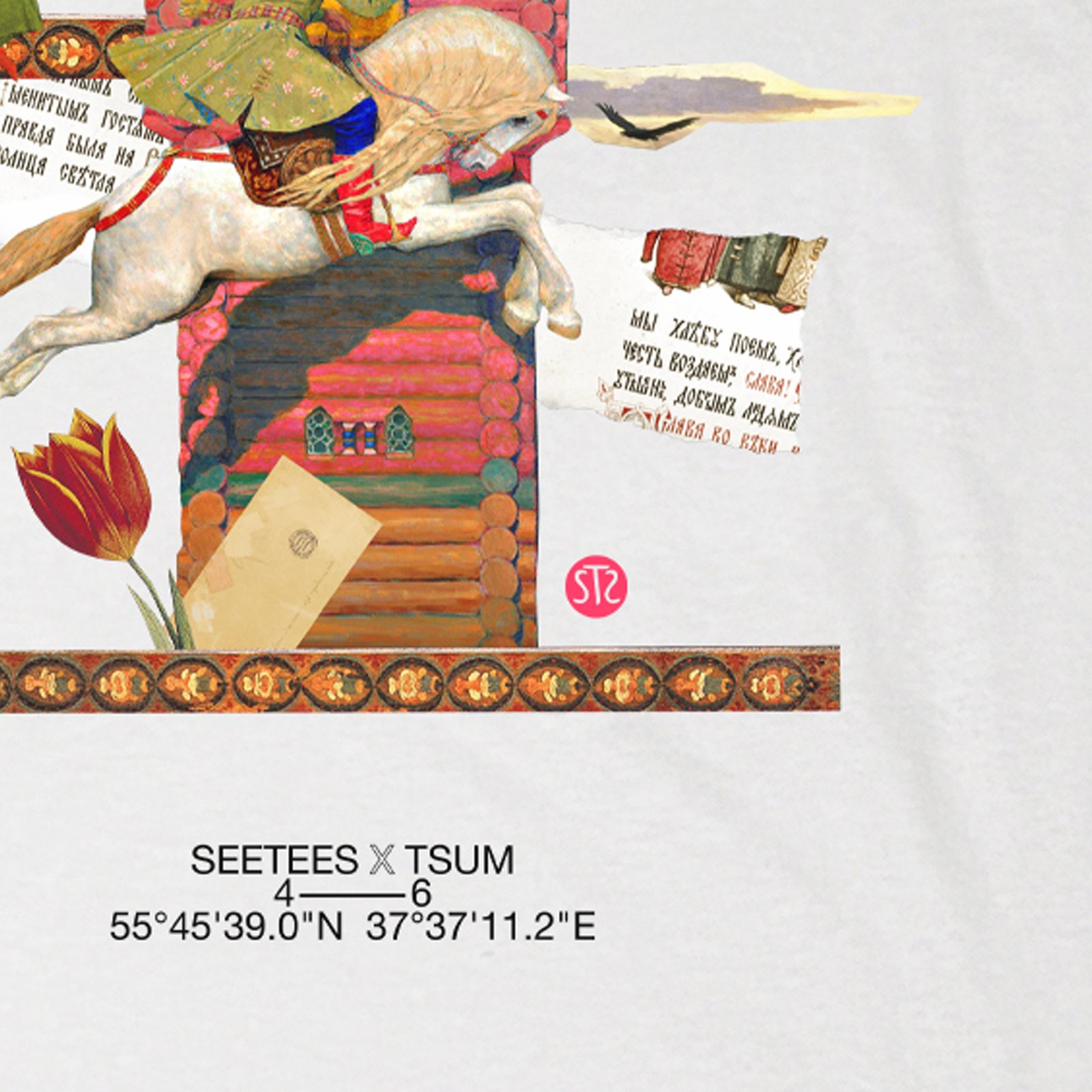 Seetees X TSUM Vasnetsov t-shirt arte