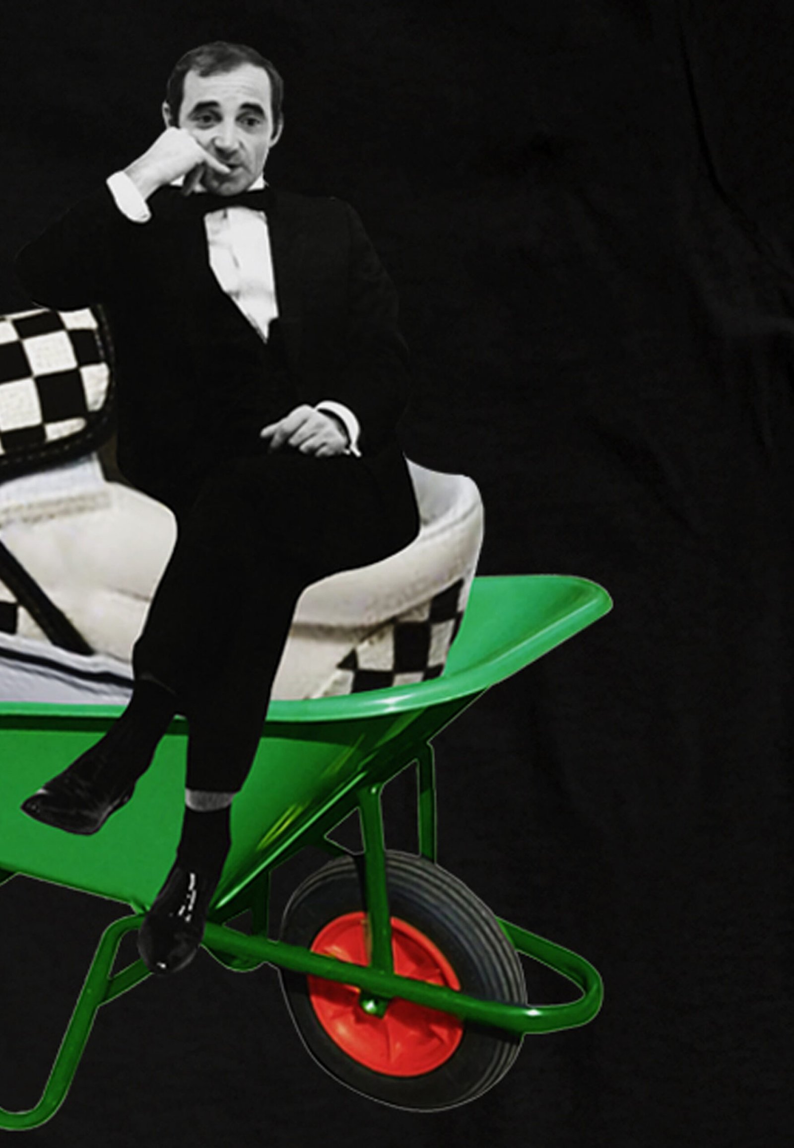 Seetees Charles T-shirt uomo cotone storia