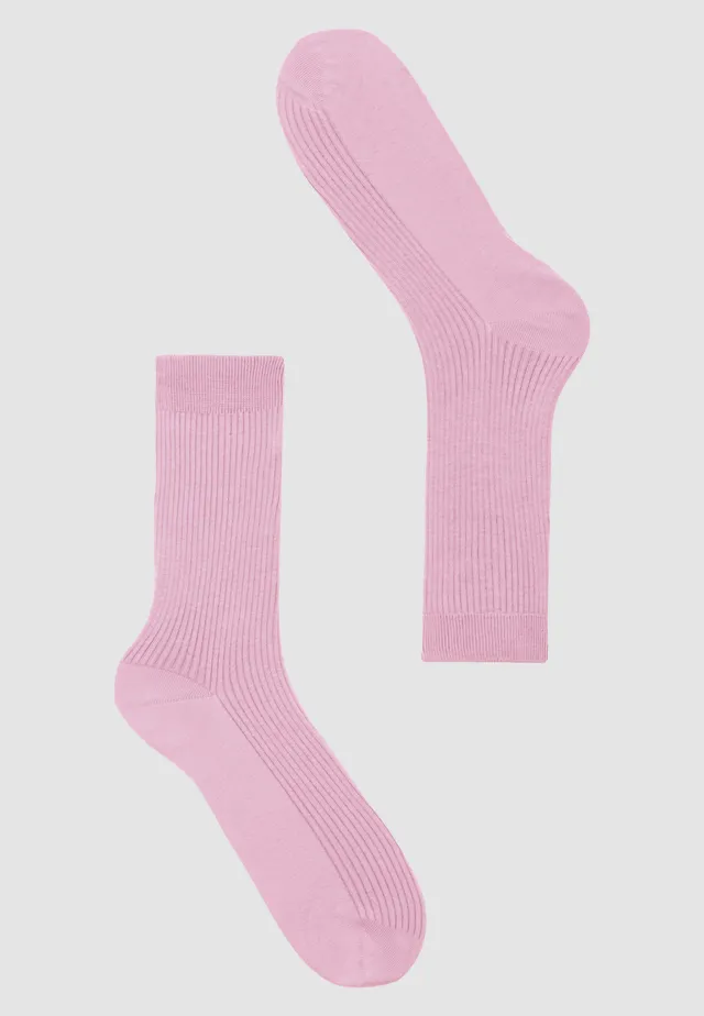 Recolution HERB calzini orchid cotone bio costa elastica