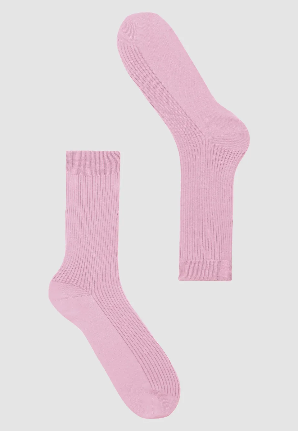 Recolution HERB calzini orchid cotone bio costa elastica