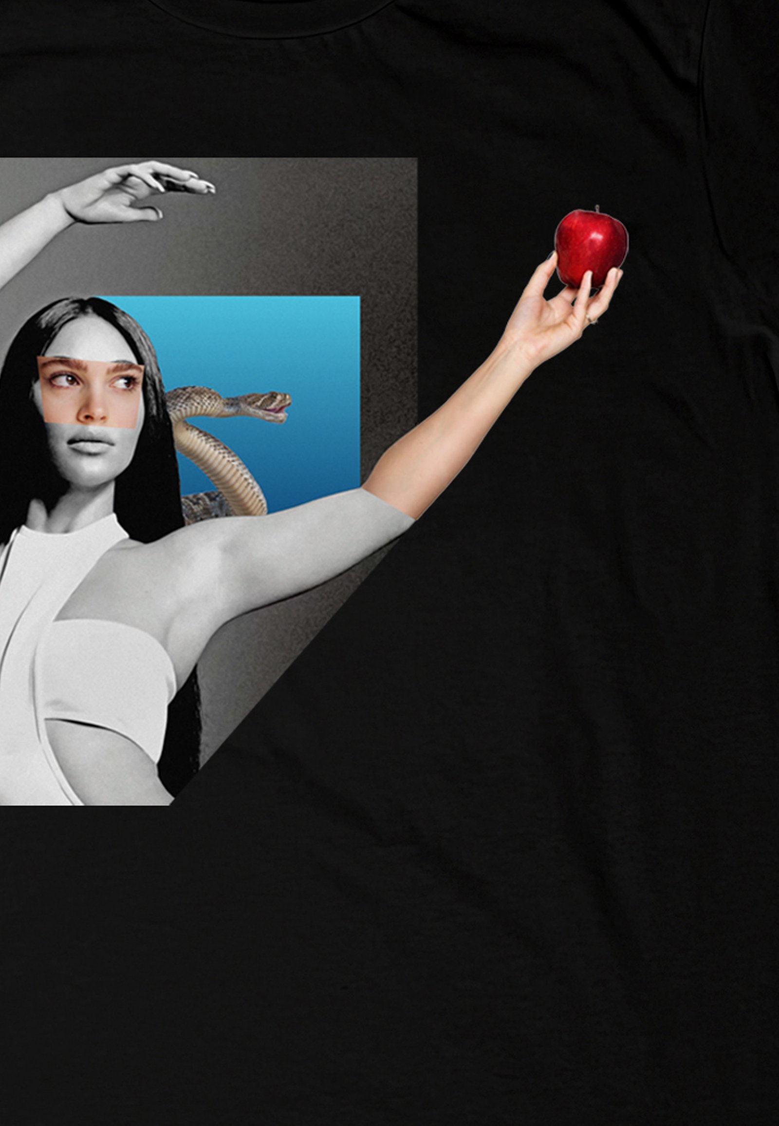 Seetees Apple t-shirt stampa mela