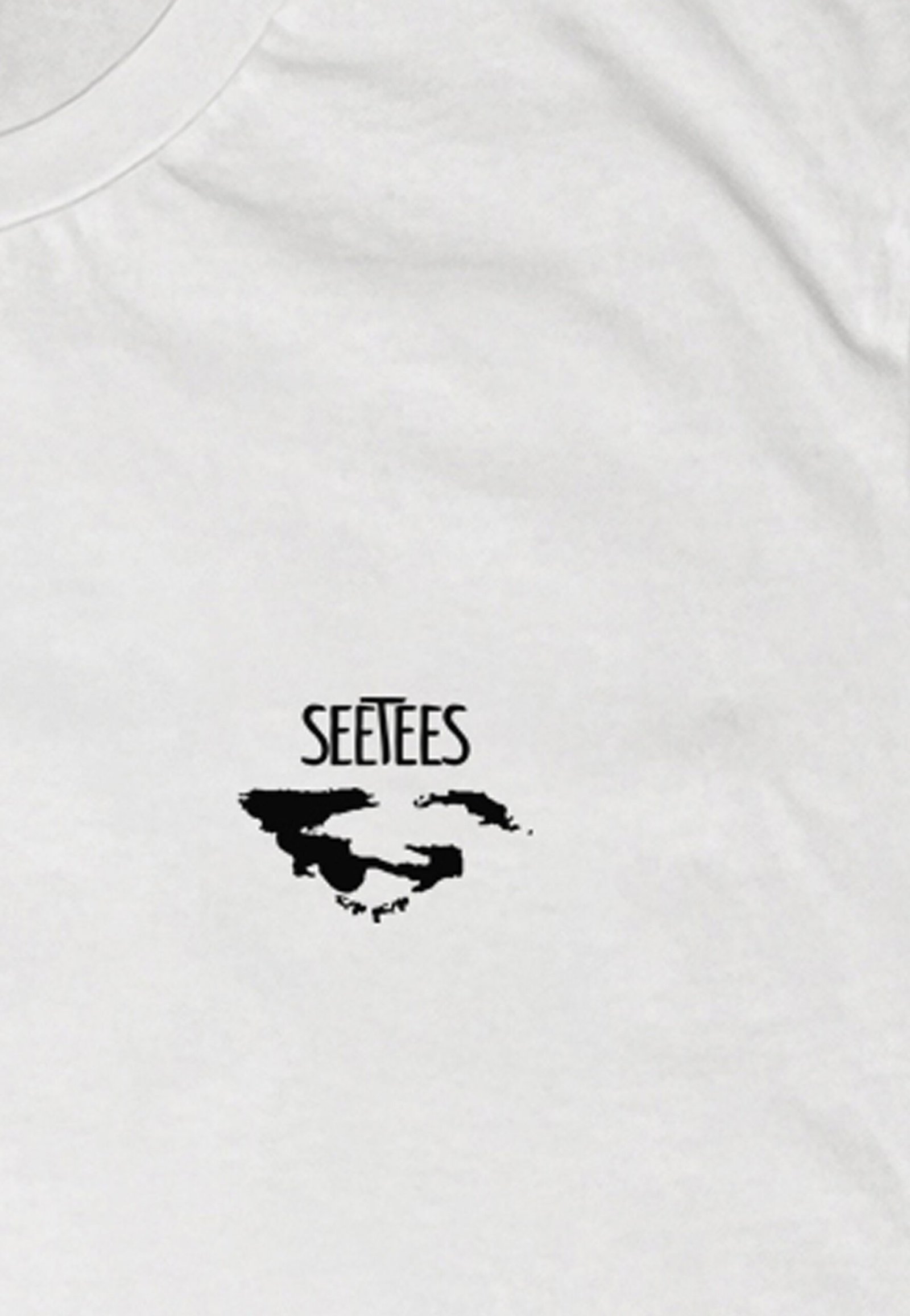 Basquiat Seetees Logo T-shirt uomo cotone arte