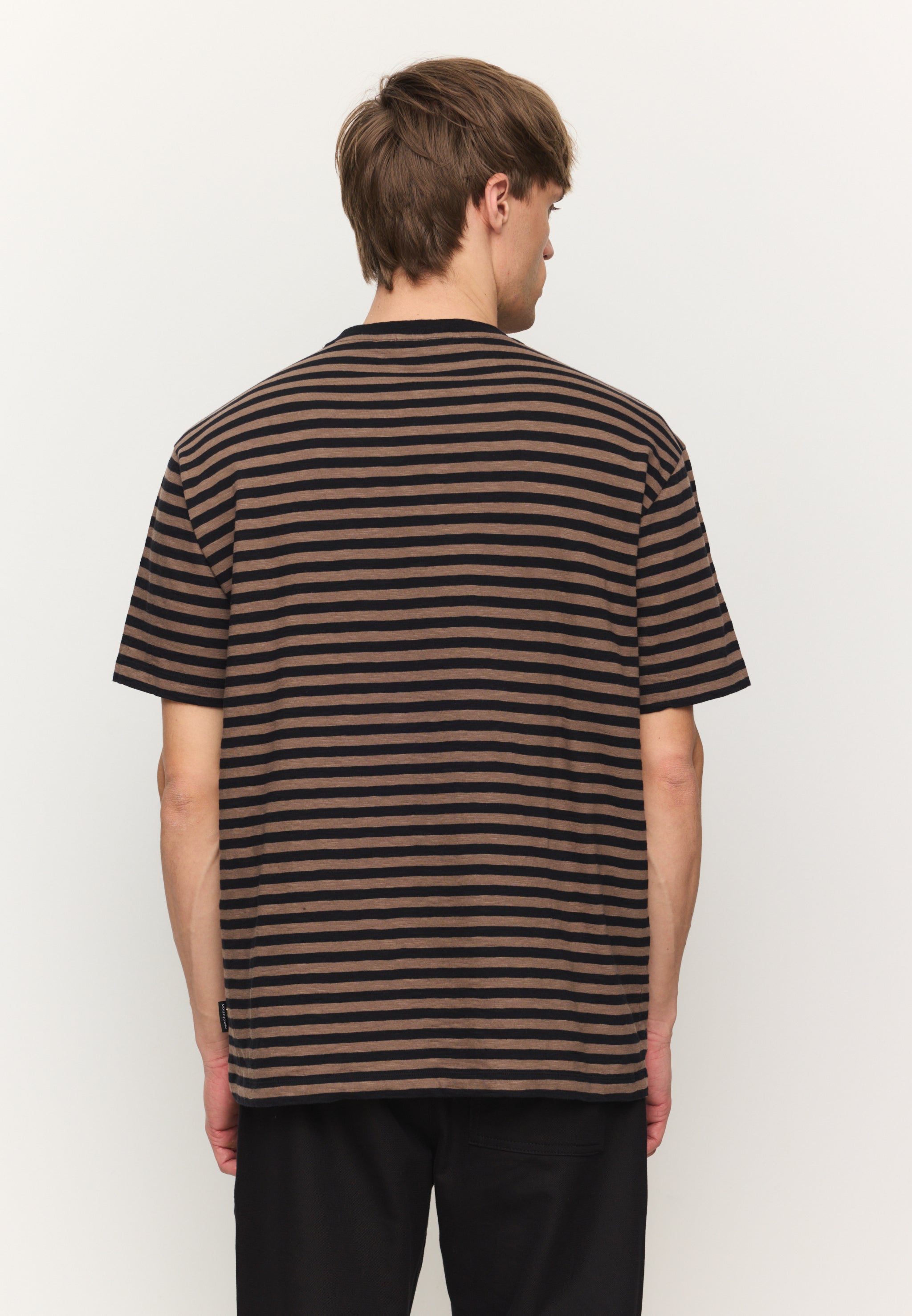 Recolution Delonix Stripes t-shirt marrone cotone bio