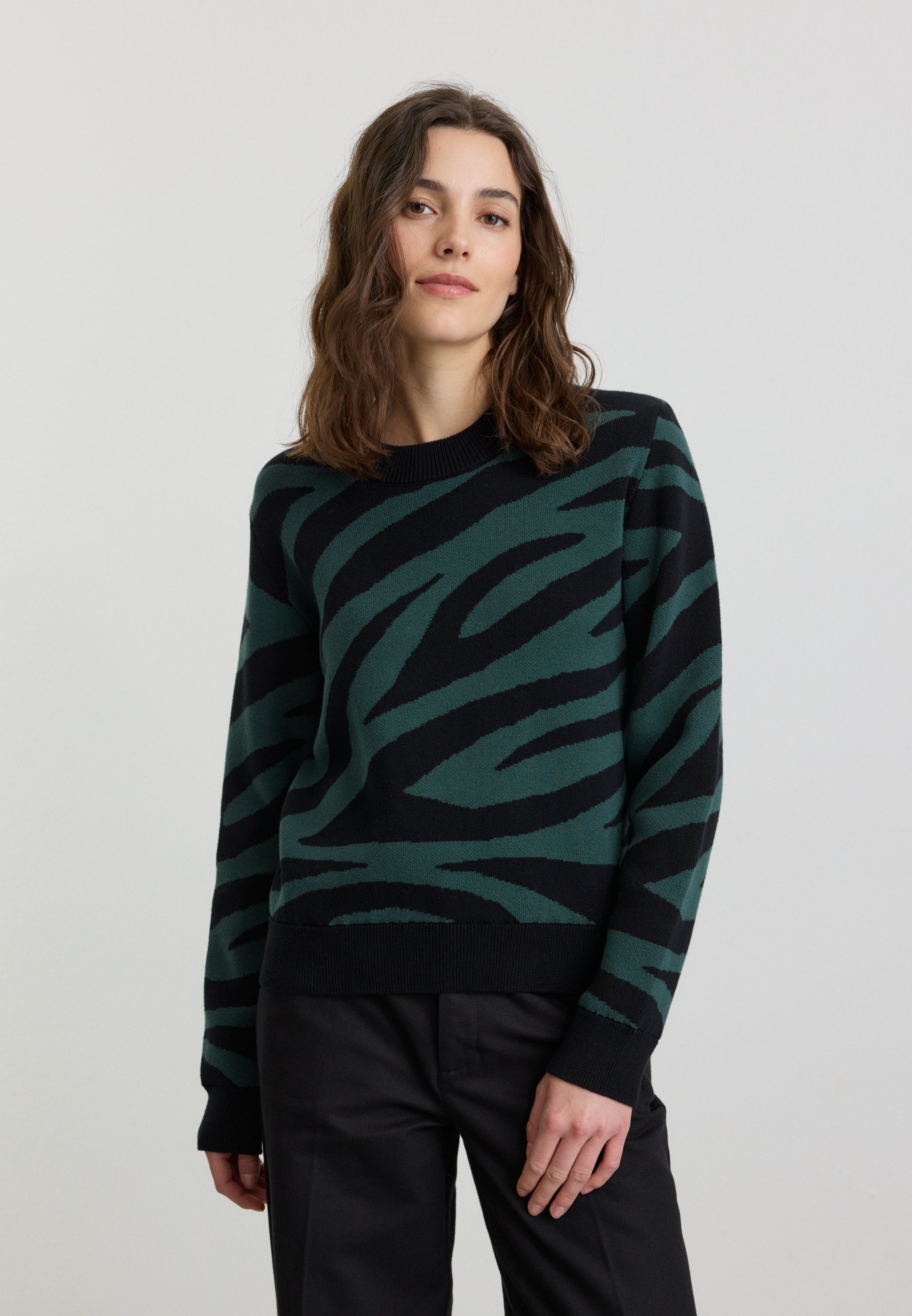Recolution Pistia Zebra maglione verde scuro cotone bio