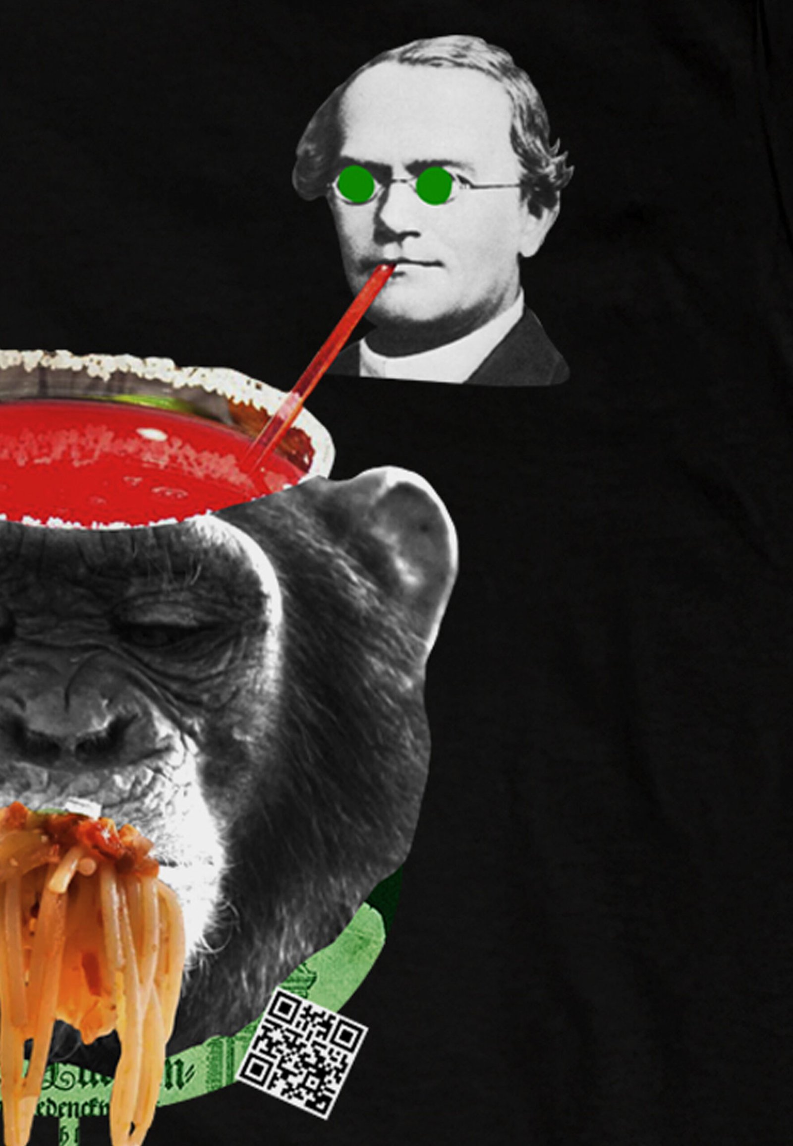 Seetees Darwin t-shirt grafica storia comoda