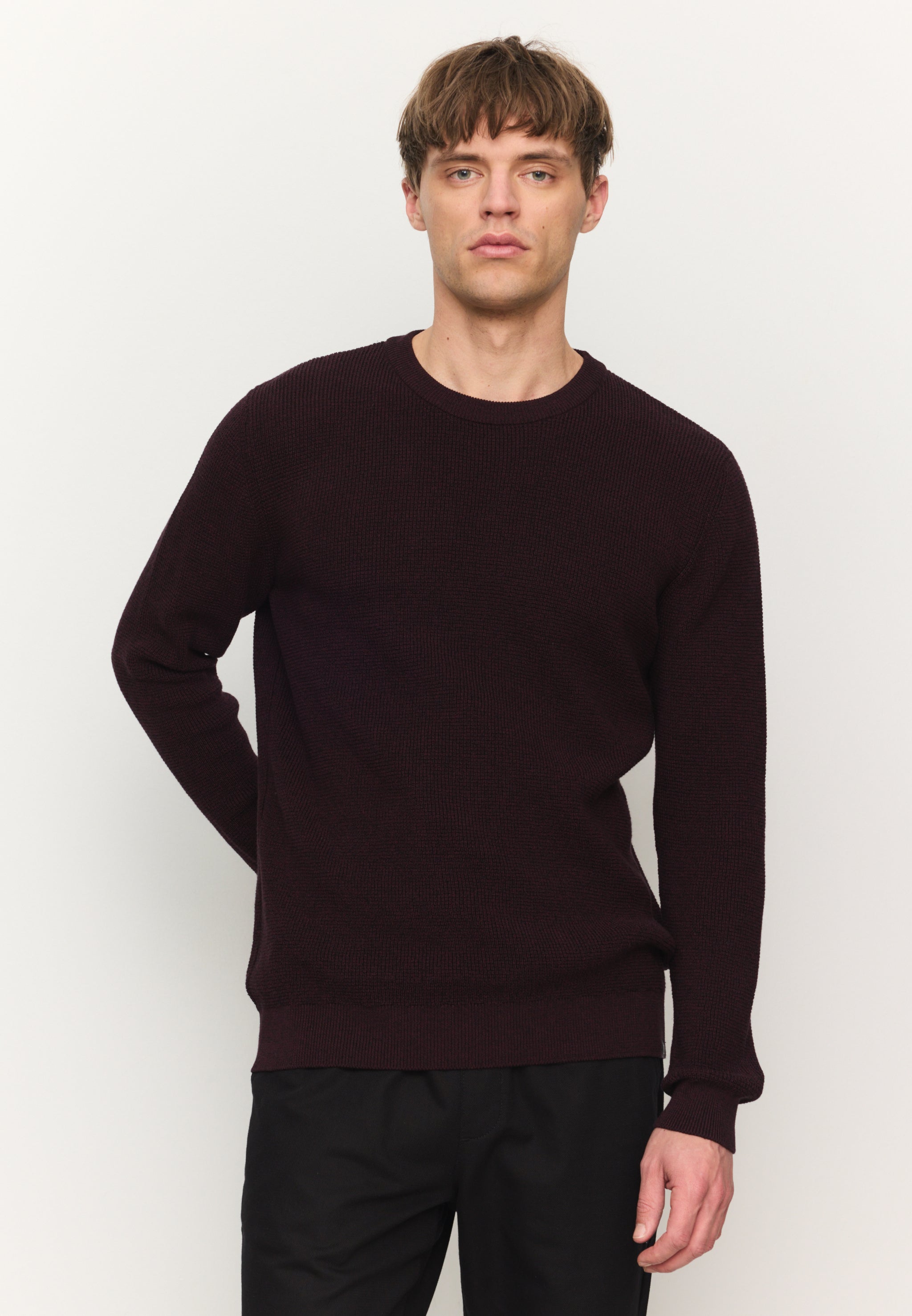Recolution Bacopa maglione cotone dark plum caldo